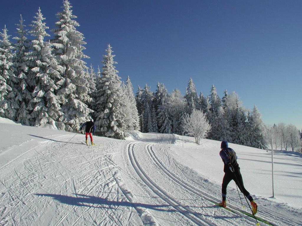 Jugendgaestehaus Ulrichsberg Esterno foto